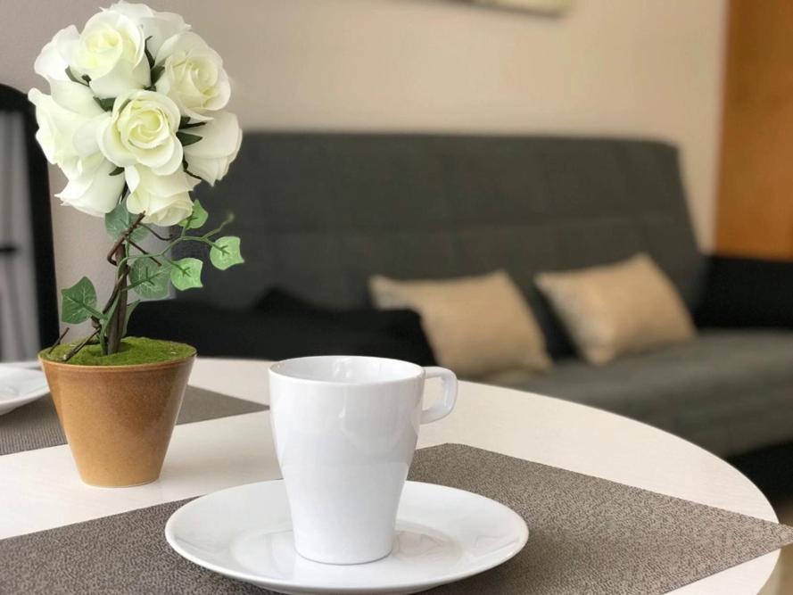 Del Cura Beach Apartment Torrevieja Eksteriør billede